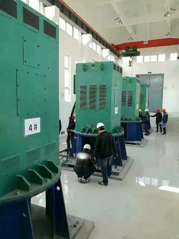 开鲁某污水处理厂使用我厂的立式高压电机安装现场